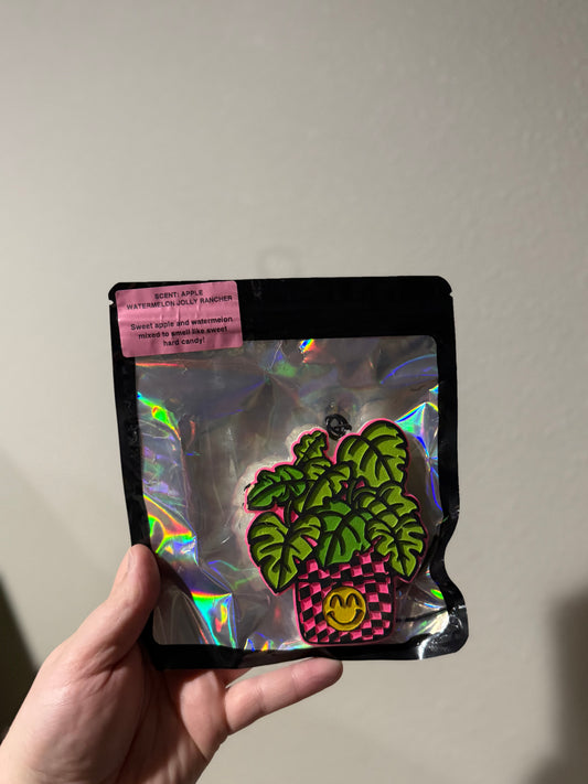 Pink Monstera - Watermelon Apple Jolly Rancher - RTS